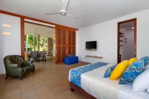 a bedroom with a bed and a chair and a television at Hotel Chiniu in Palomino