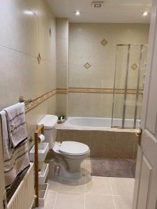 a bathroom with a toilet and a bath tub at ChezVous in Swords