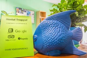 Fotografie z fotogalerie ubytování Hostal Tropical v destinaci Almuñécar