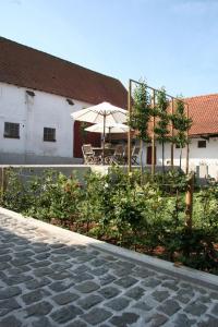 a patio with an umbrella and some bushes at B&B Hof ter Kwaremont in Kluisbergen