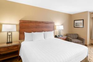 Postel nebo postele na pokoji v ubytování Best Western Plus Columbia River Inn
