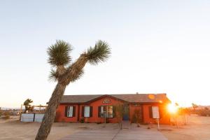a palm tree in front of a house at Hemingway House - Hot Tub Under The Desert Stars in Yucca Valley