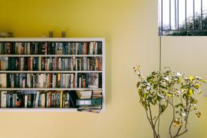 a book shelf filled with books next to a plant at Kalithea Apartments (heated pool) in Kalyves