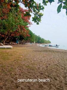 a beach with a tree and a boat in the water at Mango Moon in Pemuteran