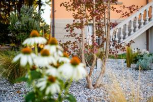 A garden outside Ca' delle Contesse - Villa on lagoon with private dock and spectacular view