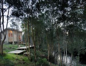eine Hütte inmitten eines Waldes mit Bäumen in der Unterkunft Hostal Vuelta al Sur in Puelo