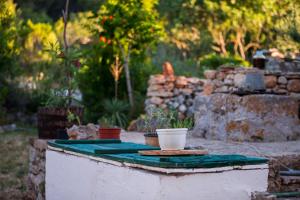 Fotografie z fotogalerie ubytování Secluded holiday house Okljucna, Vis - 15283 v destinaci Komiža