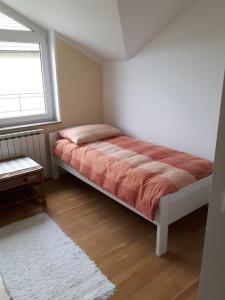 ein Schlafzimmer mit einem Bett in einem Zimmer mit einem Fenster in der Unterkunft Apartments with a parking space Zagreb - 15343 in Brezovica