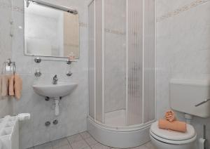 a bathroom with a shower and a toilet and a sink at Apartments and rooms with parking space Bol, Brac - 15418 in Bol