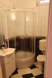 ein Bad mit einer Dusche, einem WC und einem Waschbecken in der Unterkunft Apartments by the sea Brist, Makarska - 15443 in Podaca