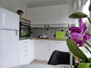 a kitchen with white cabinets and a purple plant at Apartments with WiFi Zagreb - 15474 in Zagreb