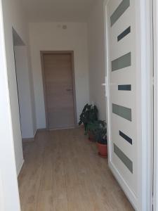 an empty hallway with a door and a plant at Apartments with a parking space Maslenica, Novigrad - 15482 in Jasenice