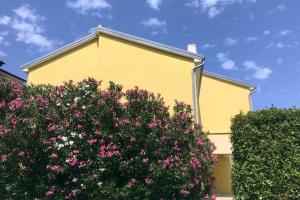 Fotografie z fotogalerie ubytování Apartments by the sea Cizici, Krk - 15494 v destinaci Malinska