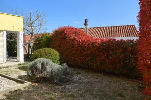 Fotografie z fotogalerie ubytování Apartments by the sea Cizici, Krk - 15494 v destinaci Malinska