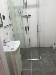een badkamer met een douche en een wastafel bij Viktoria in Ełk
