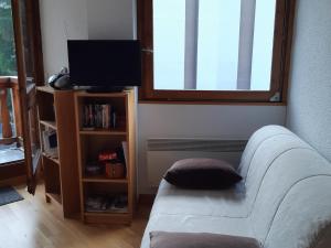 een woonkamer met een bank en een televisie bij Appartement Les Deux Alpes, 2 pièces, 6 personnes - FR-1-516-182 in Les Deux Alpes