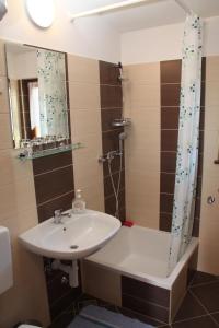 ein Bad mit einem Waschbecken und einer Dusche in der Unterkunft Apartments with a parking space Pula - 15582 in Pula