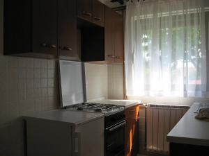 a kitchen with a stove and a sink and a window at Apartments with a parking space Delnice, Gorski kotar - 15589 in Delnice