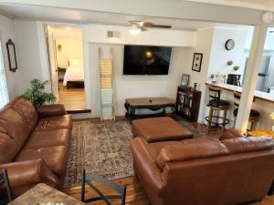 a living room with a couch and a bed at Cozy Hideaway in the Duck Pond area of Gainesville in Gainesville