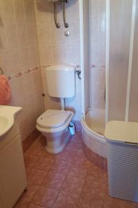 a bathroom with a toilet and a shower at Studio Gradac 15642b in Gradac