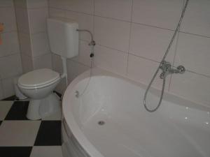 a bathroom with a toilet and a bath tub with a shower at Apartments with a swimming pool Sevid, Trogir - 15664 in Sevid