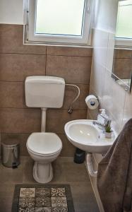 a bathroom with a toilet and a sink at Apartments with a parking space Smrika, Kraljevica - 15700 in Šmrika