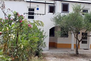 Zahrada ubytování Apartments with a parking space Nerezine, Losinj - 15768