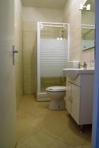 W łazience znajduje się toaleta, umywalka i prysznic. w obiekcie Apartment Biograd na Moru 15770b w Biogradzie na Moru