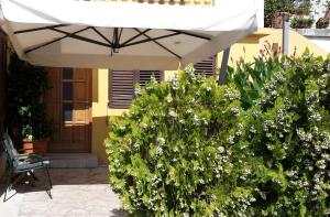 Zahrada ubytování Apartments by the sea Posedarje, Novigrad - 15786