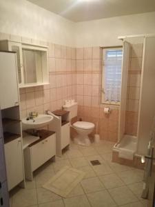 a bathroom with a toilet and a sink and a shower at Apartments with parking space Supetarska Draga - Donja, Rab - 15999 in Rab