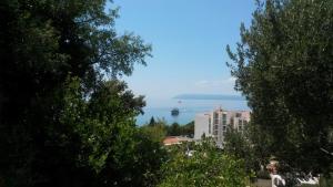 Fotografia z galérie ubytovania Apartments by the sea Tucepi, Makarska - 16037 v Tučepi