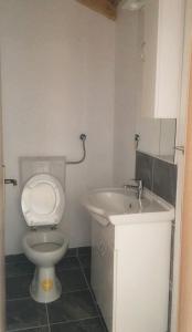 La salle de bains est pourvue de toilettes et d'un lavabo. dans l'établissement Secluded fisherman's cottage Cove Kozja, Hvar - 16058, à Bogomolje