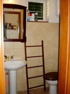 La salle de bains est pourvue d'un lavabo, de toilettes et d'un miroir. dans l'établissement Apartment Blace 16068b, à Blace