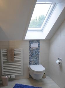 La salle de bains est pourvue de toilettes et d'une lucarne. dans l'établissement An den Zwillingsmühlen, à Greetsiel