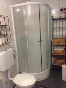 un bagno con doccia e WC di Family friendly house with a swimming pool Vratarusa, Senj - 16094 a Senj