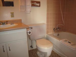 Bagno di Falcon Nest Motel