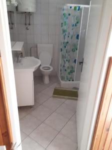 a bathroom with a toilet and a sink and a shower at Apartments by the sea Prigradica, Korcula - 16125 in Blato