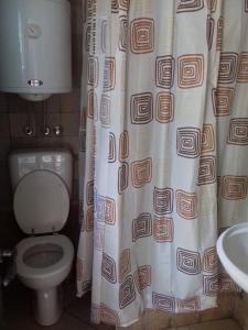 a bathroom with a toilet and a shower curtain at Holiday house with a parking space Starigrad, Paklenica - 16126 in Starigrad