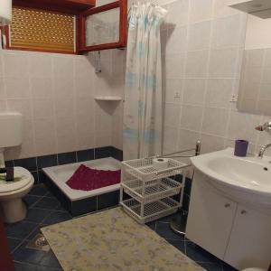 W łazience znajduje się umywalka, toaleta i prysznic. w obiekcie Apartments by the sea Brgulje, Molat - 16217 w mieście Molat