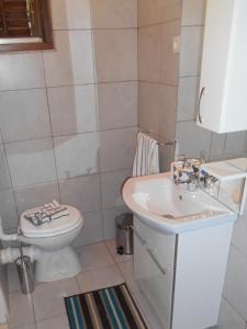 uma casa de banho com um WC e um lavatório em Apartments with WiFi Zrnovo, Korcula - 16254 em Korčula