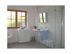 a bathroom with a shower and a sink and a toilet at Kempfenhof in Oberharmersbach