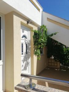 an open door of a house with a plant at Apartments with a parking space Punat, Krk - 15451 in Punat
