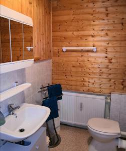 La salle de bains est pourvue d'un lavabo blanc et de toilettes. dans l'établissement Haus Fessel - Birkenkopf, à Elend