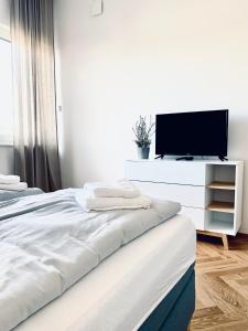 um quarto com uma cama e uma televisão numa cómoda em Modernes Apartment am See mit Terrasse em Grossräschen
