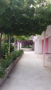 Zahrada ubytování Apartments and rooms with parking space Hvar - 15706