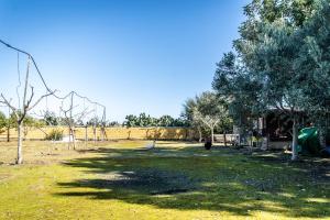 a field with trees and a fence in the background at Reel Paradise Villa, Cyprus in Larnaca