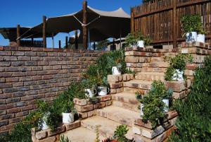 a brick retaining wall with stairs with potted plants at Grotto to Gravel in Magaliesburg