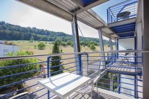 شرفة أو تراس في GUESTHOUSE ZURZACH - Self Check-in