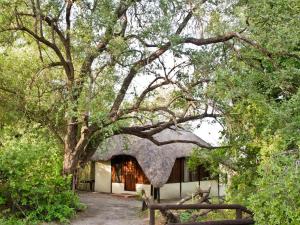 un edificio con techo de paja bajo un gran árbol en Lianshulu BUSH Lodge en Kongola