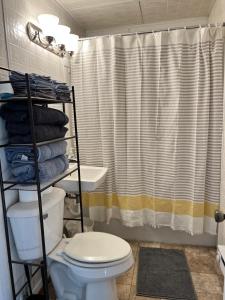 La salle de bains est pourvue de toilettes et d'un rideau de douche. dans l'établissement Burrel Avenue Apartments, à Cooperstown